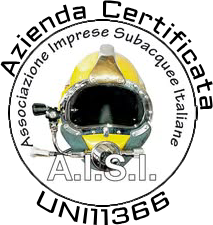 AISI UNI1366